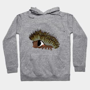 hedgehog / egel Hoodie